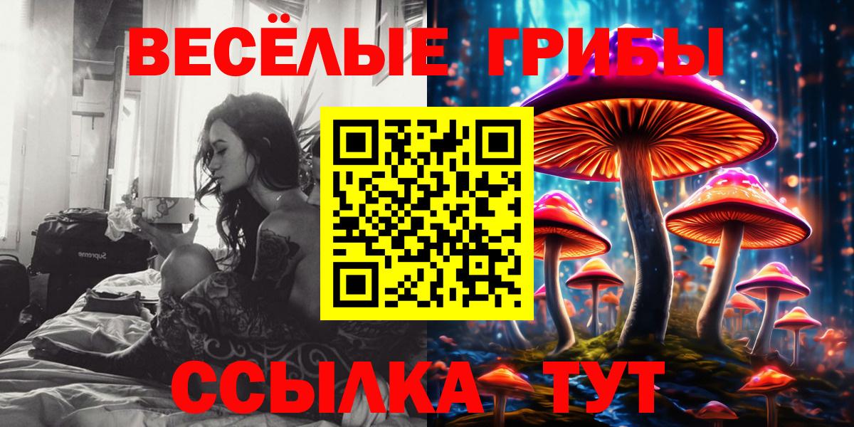 Псилоцибиновые грибы GOLDEN TEACHER  Вход с VPN  Псилоцибиновые грибы Psilocybine cubensis  Соль-Илецк 