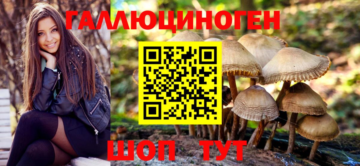 Галлюциногенные грибы мицелий Соль-Илецк