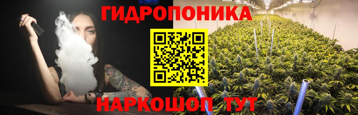 Шишки марихуана планчик  Марихуана гибрид  Вход с VPN  Соль-Илецк 